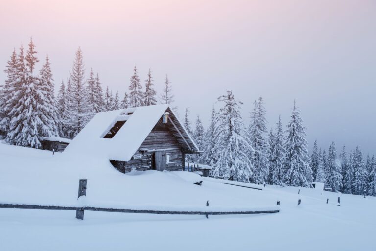 Snowy forest in the Carpathians. A small cozy wooden house covered with snow. The concept of peace and winter recreation in the mountains